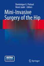 Mini-Invasive Surgery of the Hip