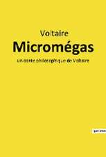 Micromégas