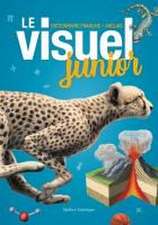 Le Visuel Junior