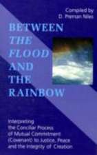 Between the Flood and the Rainbow: Interpreting the Conciliar Process of Mutual Commitment (Covenant) to Justice, Peace and the Integrity of Creation