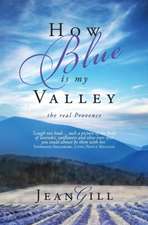 How Blue is My Valley