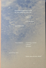 Kaino E