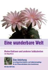 Moses, H: Eine wunderbare Welt