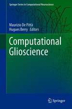 Computational Glioscience