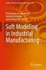 Soft Modeling in Industrial Manufacturing