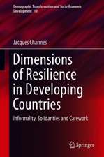 Dimensions of Resilience in Developing Countries