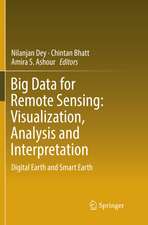 Big Data for Remote Sensing: Visualization, Analysis and Interpretation