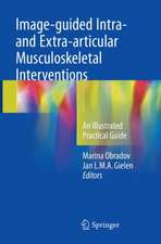 Image-guided Intra- and Extra-articular Musculoskeletal Interventions: An Illustrated Practical Guide