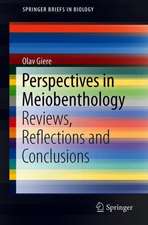 Perspectives in Meiobenthology: Reviews, Reflections and Conclusions