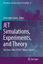 JET Simulations, Experiments, and Theory: Ten Years After JETSET. What Is Next?