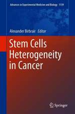 Stem Cells Heterogeneity in Cancer