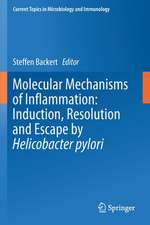 Molecular Mechanisms of Inflammation: Induction, Resolution and Escape by Helicobacter pylori