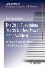 The 2011 Fukushima Daiichi Nuclear Power Plant Accident: An Analysis from the Metre to the Nanometre Scale