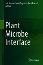 Plant Microbe Interface