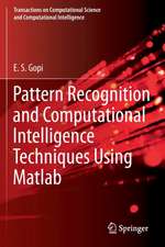 Pattern Recognition and Computational Intelligence Techniques Using Matlab