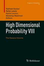 High Dimensional Probability VIII: The Oaxaca Volume