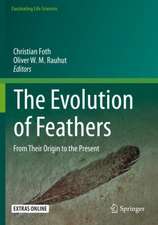 The Evolution of Feathers: From Their Origin to the Present