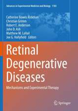 Retinal Degenerative Diseases: Mechanisms and Experimental Therapy