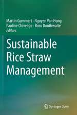 Sustainable Rice Straw Management