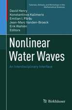 Nonlinear Water Waves: An Interdisciplinary Interface