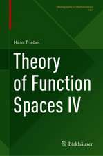 Theory of Function Spaces IV