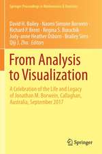 From Analysis to Visualization: A Celebration of the Life and Legacy of Jonathan M. Borwein, Callaghan, Australia, September 2017