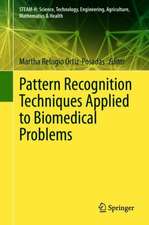 Pattern Recognition Techniques Applied to Biomedical Problems