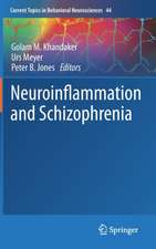 Neuroinflammation and Schizophrenia