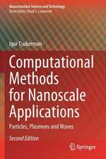 Computational Methods for Nanoscale Applications: Particles, Plasmons and Waves