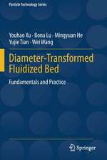 Diameter-Transformed Fluidized Bed: Fundamentals and Practice