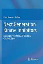 Next Generation Kinase Inhibitors: Moving Beyond the ATP Binding/Catalytic Sites