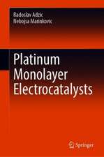 Platinum Monolayer Electrocatalysts