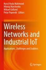 Wireless Networks and Industrial IoT: Applications, Challenges and Enablers