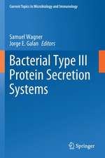 Bacterial Type III Protein Secretion Systems