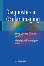 Diagnostics in Ocular Imaging: Cornea, Retina, Glaucoma and Orbit