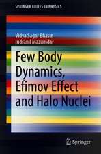 Few Body Dynamics, Efimov Effect and Halo Nuclei