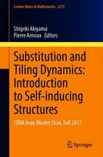 Substitution and Tiling Dynamics: Introduction to Self-inducing Structures: CIRM Jean-Morlet Chair, Fall 2017