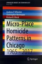 Micro-Place Homicide Patterns in Chicago: 1965 - 2017