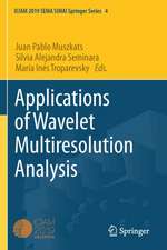 Applications of Wavelet Multiresolution Analysis