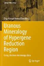 Uranous Mineralogy of Hypergene Reduction Region: Using electron microscopy data