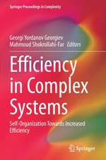 Efficiency in Complex Systems: Self-Organization Towards Increased Efficiency