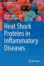 Heat Shock Proteins in Inflammatory Diseases