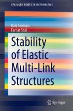 Stability of Elastic Multi-Link Structures