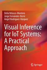 Visual Inference for IoT Systems: A Practical Approach