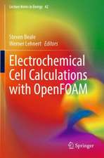 Electrochemical Cell Calculations with OpenFOAM