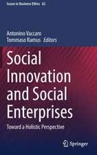 Social Innovation and Social Enterprises: Toward a Holistic Perspective