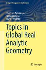 Topics in Global Real Analytic Geometry
