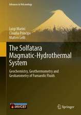 The Solfatara Magmatic-Hydrothermal System: Geochemistry, Geothermometry and Geobarometry of Fumarolic Fluids