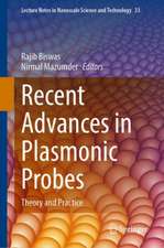 Recent Advances in Plasmonic Probes: Theory and Practice