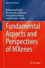 Fundamental Aspects and Perspectives of MXenes